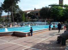 Cattolica in fiore