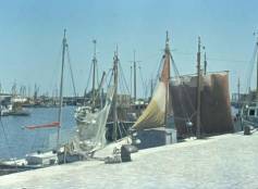 Il porto di Cattolica