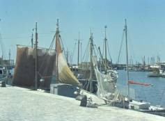 Il porto di Cattolica