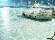 Porto di Cattolica ghiacciato