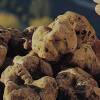 Fossa Tartufo & Venere Mondaino Fossa Tartufo & Venere Mondaino