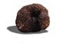 Tartufo Nero di Bagnoli