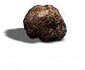 Tartufo Nero